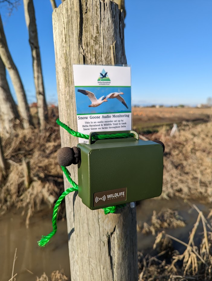 An autonomous recording unit (ARU) attached to a post in a field