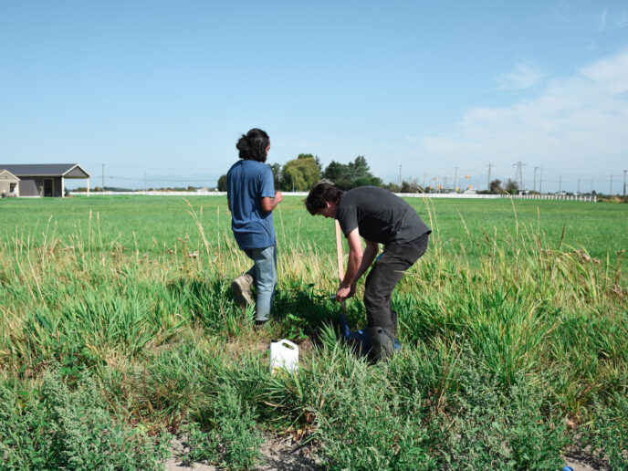 Delta Farmland - Working a field